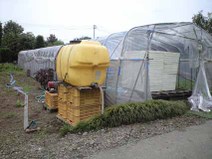 090727_ready_for_buro