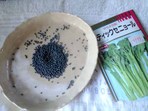 090730seed_stickburo