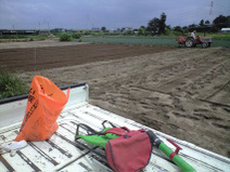 090804_shinchi_sehi