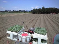 090824_minami_buro01
