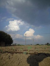 090824_minami_sky02