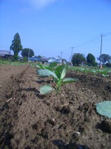090901_kyoukaimae_buro