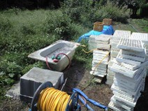 090909_pod_washing