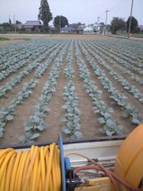 090919_kyoukai_boujo 090919_kyoukai_boujo