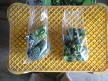 091017_stick_karai_pack