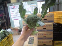 091026_todays_buro
