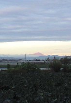 091102_red_mtasama
