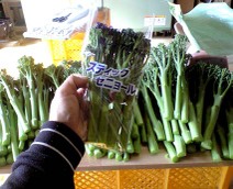 091120_stick02