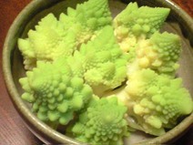 091124_yudespiral02