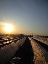 100127_ise_burosinset01