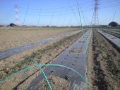 100127_ise_poal