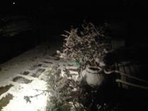 100201_night_snow01