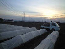 100208_iseyama_sunset
