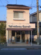 Vcarrot02