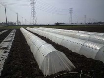100303_nishi_solowork