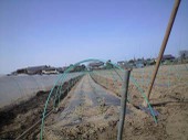 100322_yama_mirai03