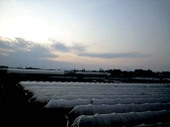100322_yama_mirai05