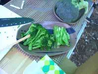 100505_yudeburo