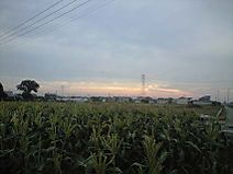 100626_sunrise_at_farm