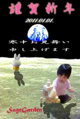 2011_new_year_for_web