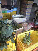 101119_before_syuka