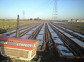 110108_malching