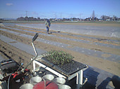 110118_haruburo01