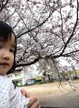 20110409_hanami_with_meyou