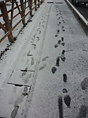 120229_footprints_on_snow