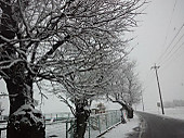 120229_snow_day02