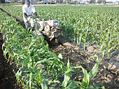 120428_mirai_tyukou