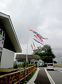 120501_koinobori