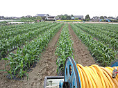 120501_mirai_at_yama03_2