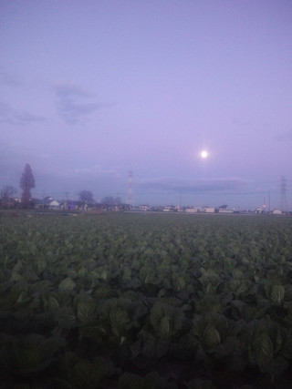 20141205_moon_on_my_farm
