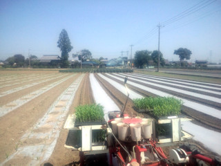 20150501_corn_working01