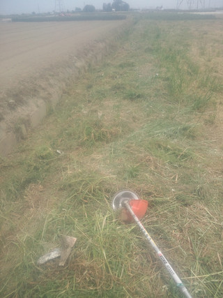 20150506_mowing_watercourse2