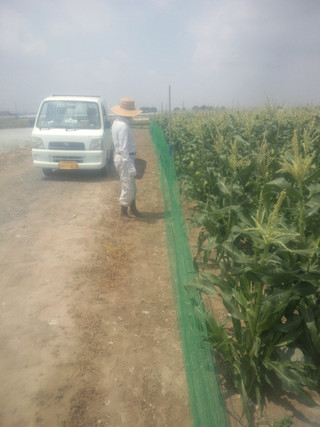 20150520_defense_net